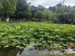 -沐仙湖湿地公园