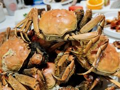 -半岛听涛蒸汽海鲜自助(K11店)