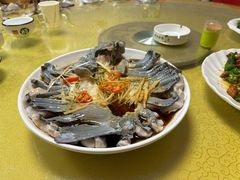 -煲来饱去冷水鱼