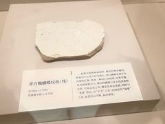 -四川宋瓷博物馆