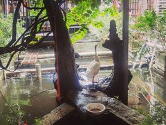 -优之名鹅城