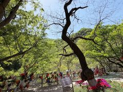 -云丘山景区