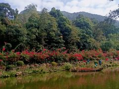 -深圳仙湖植物园-停车场