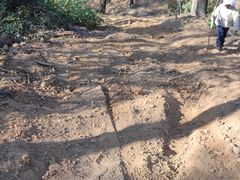 -青龙山国家森林公园