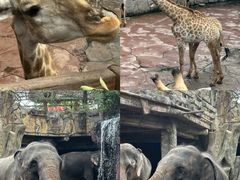 -长鹿旅游休博园
