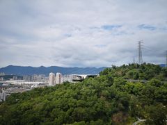-金鸡山公园