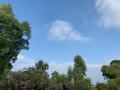 -火炉山森林公园