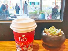 澳洲小白-Peet's Coffee皮爷咖啡(大学路店)
