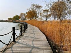 -野鸭湖国家湿地公园