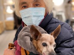 -美联众合动物医院·24h转诊中心