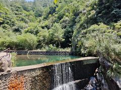 -大奇山国家森林公园