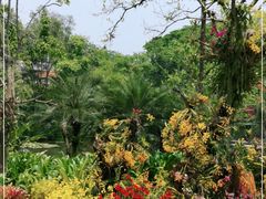 -中国科学院西双版纳热带植物园