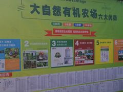 -大自然农场蔬菜草莓采摘园