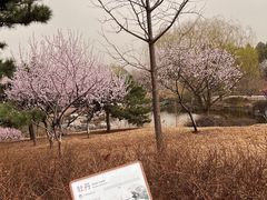 -北京西山国家森林公园