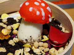 -菌彩云南野生菌火锅(万达广场店)