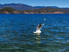 -丽江泸沽湖景区