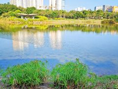 -福田红树林生态公园