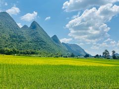 -万峰林风景区