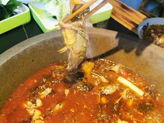 -石锅苗苗鱼(武汉首店)