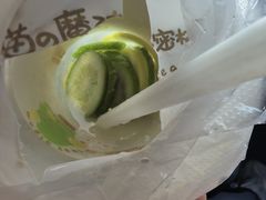 -猫的魔法密林(衣裳街店)