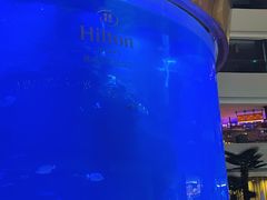 -OPEN開全日自助餐厅·牛肉火锅·海鲜(佛山希尔顿酒店)