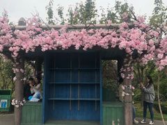 -南京银杏湖乐园