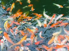 -厦门日月谷温泉渡假村