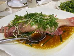 -凤城礼记鱼翅海鲜酒家(新马路总店)