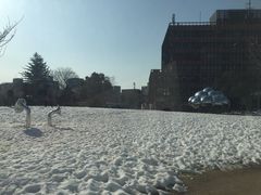 -金泽21世纪美术馆