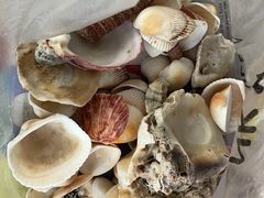 -碧桂园十里银滩