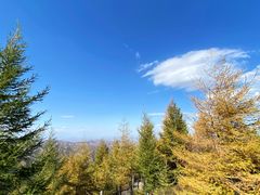 -苏木山森林公园