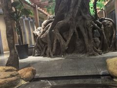 -御池园(顾村公园店)