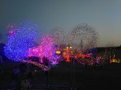 -函谷关历史文化旅游区