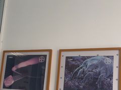 -瑞派福兴宠物医院犬猫全科·骨科·中西医结合(河东店)