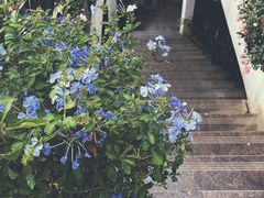-边渡咖啡烘焙店(昙华林店)