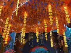 -北京欢乐谷