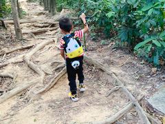 -火炉山森林公园