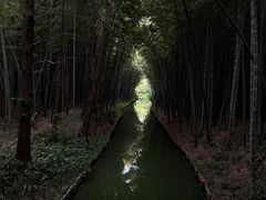 -同里国家湿地公园