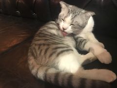 -MIKAKU(万达广场上海宝山店)