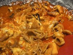-红辣椒八爪鱼特色韩国料理