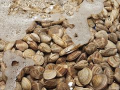 -宴立方海鲜自助(义乌万达广场店)