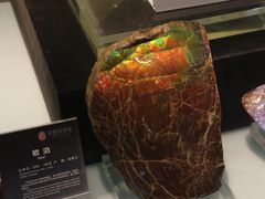 -鸿山遗址博物馆