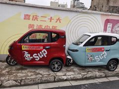 -老年代步车专卖店及售后(中华路店)