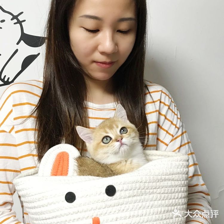 🐱我也变成铲屎官一枚了..小宝贝跟我肥家le…