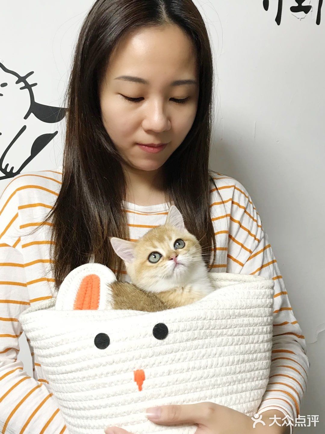 🐱我也变成铲屎官一枚了..小宝贝跟我肥家le…