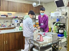 -宠爱国际维尼动物医院·疑难骨科·神经外科·肿瘤科(丰潭路店)