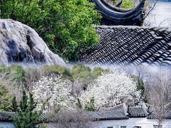 -八大山人梅湖景区