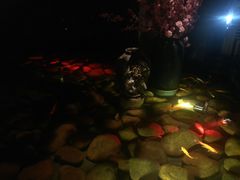 -新悦·霞浦海鲜生(上下杭店)