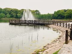 -上海鲜花港