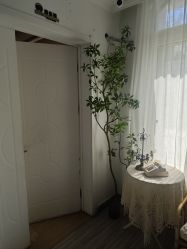 -三河市薇拉风情婚纱摄影店